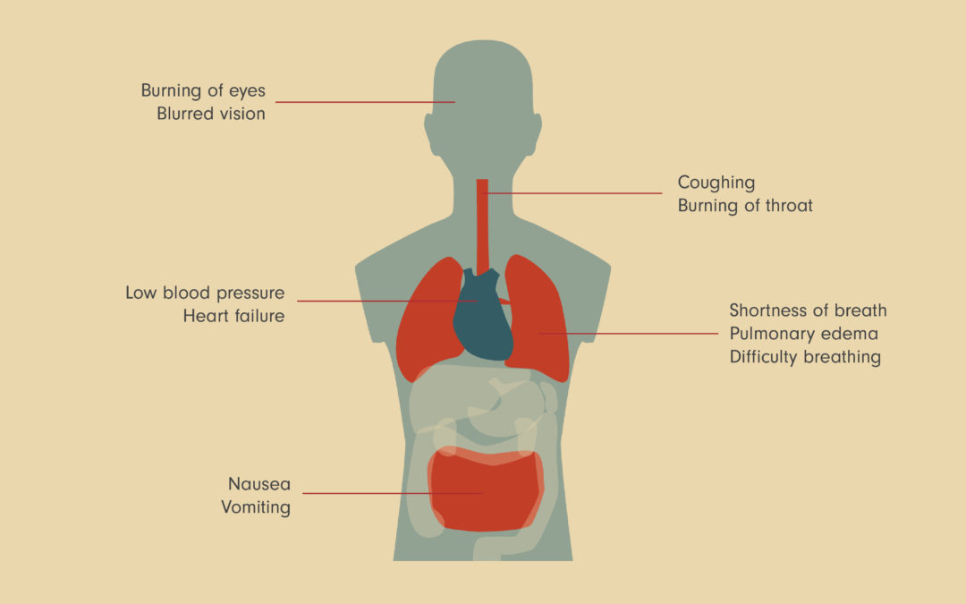 The Dangers of Phosgene Exposure [Infographic]