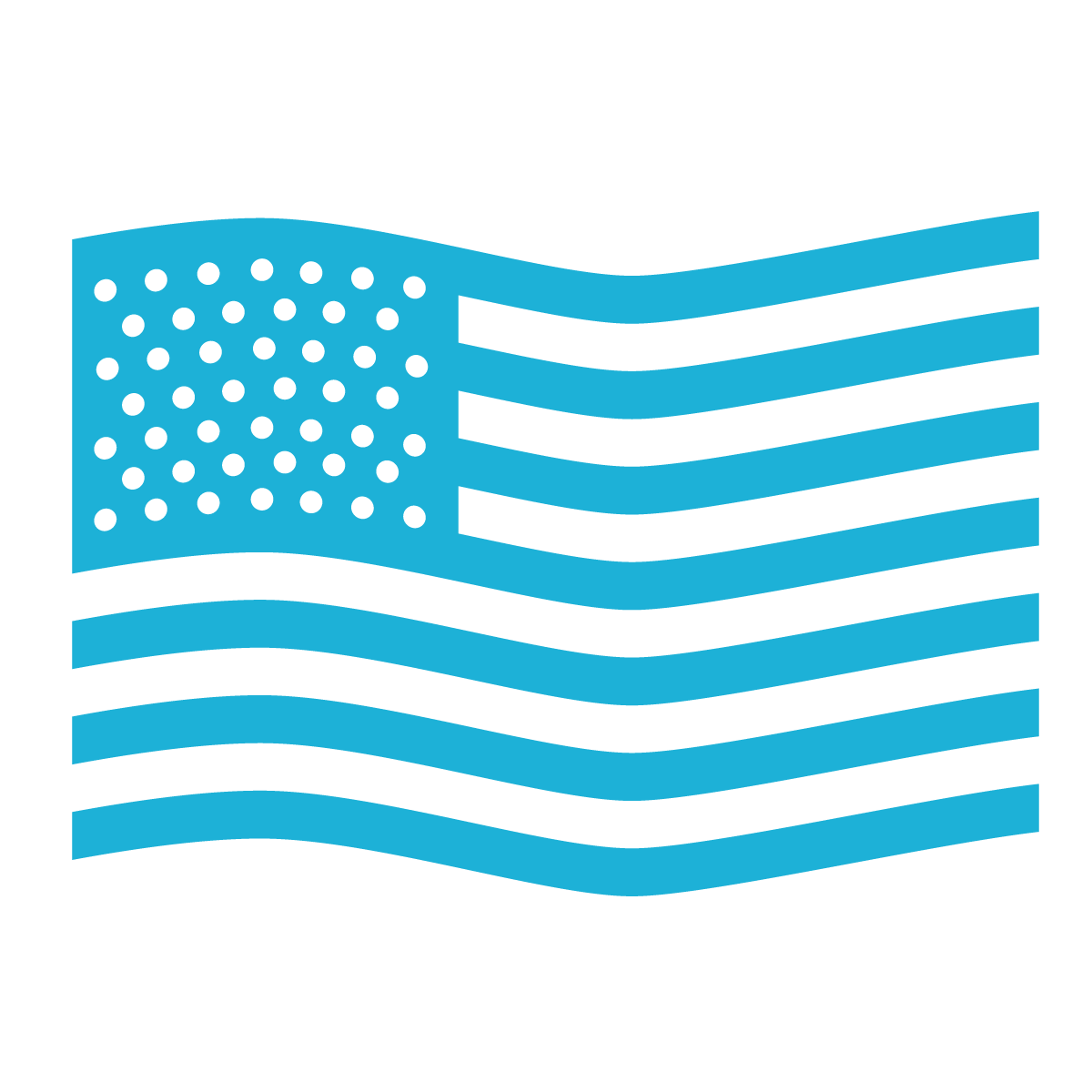 Icon for American Made & Sourced Parts