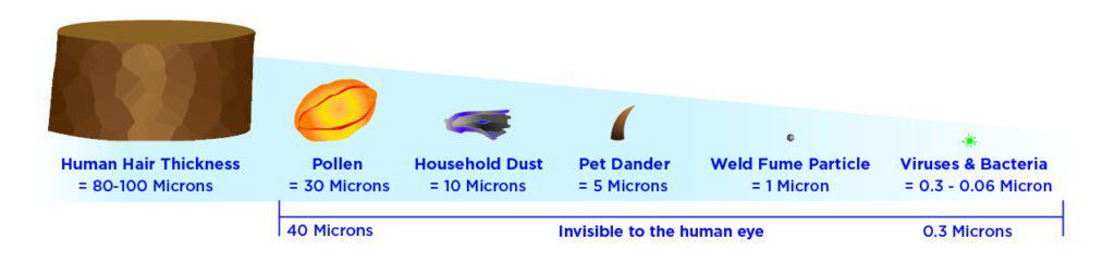 Micro detritus for filter for viruses and bacteria