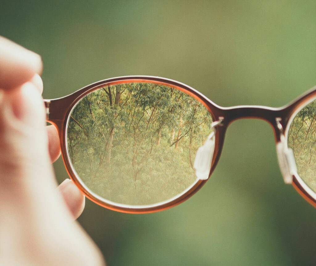 Close-up of view through plastic lenses produced in precision eyeglass lens manufacturing