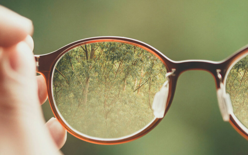 Close-up of view through plastic lenses produced in precision eyeglass lens manufacturing